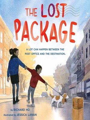 cover image of The Lost Package